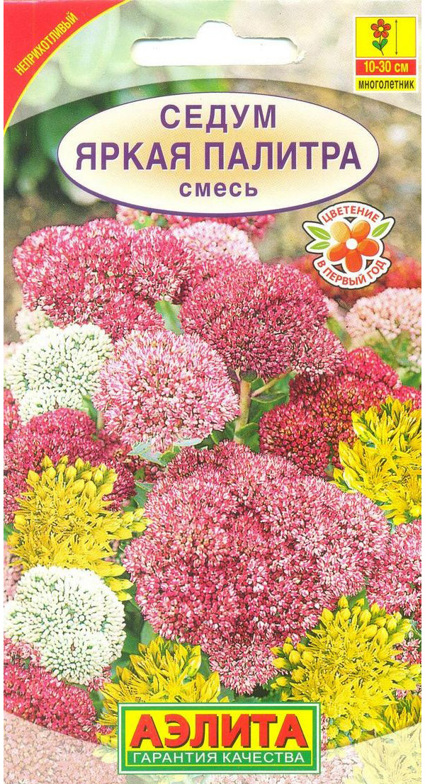 

Семена седум Аэлита Яркая палитра 00-00567855 1 уп.