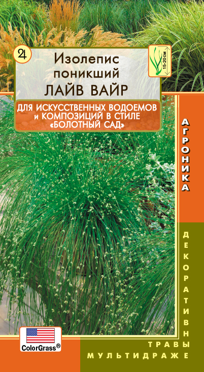 

Изолепсис (камыш поникающий) Лайв Вайр, 3 мультидраже ColorGrass