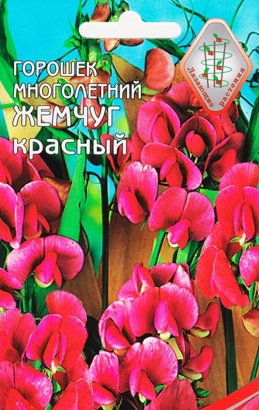 

Душистый горошек многолетний Жемчуг Красный, 9 шт.