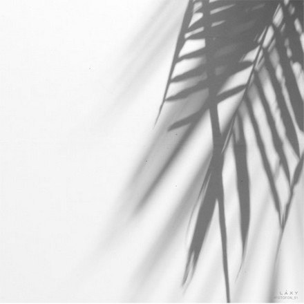

Фотофон №51 LAXY