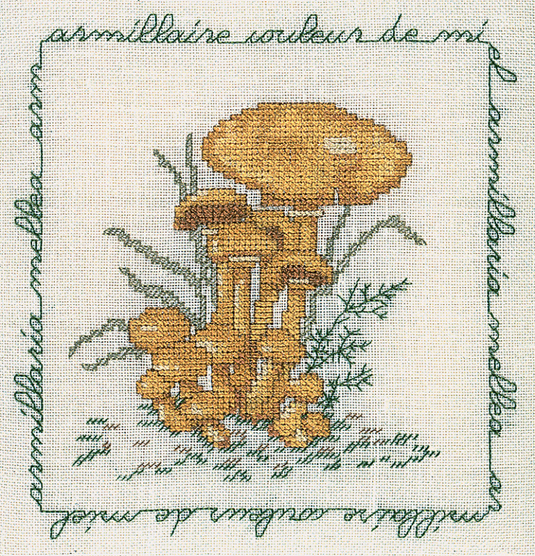 фото Набор для вышивания le bonheur des dames armillaire couleur de miel (опёнок) арт.1685