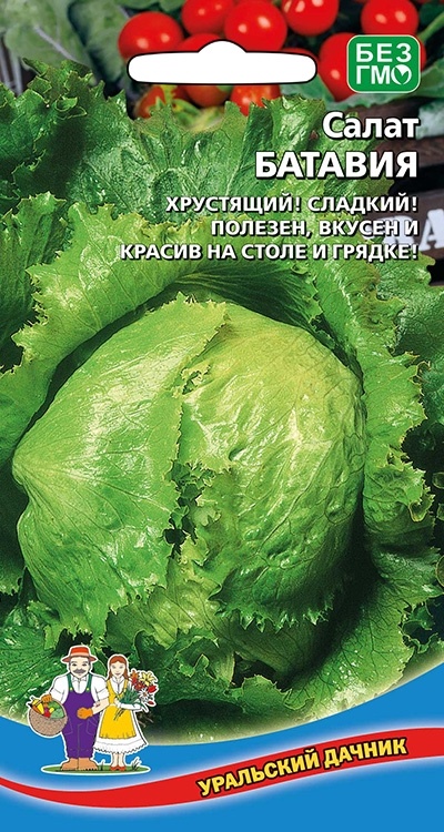 Семена салат Уральский дачник Батавия 1 уп.