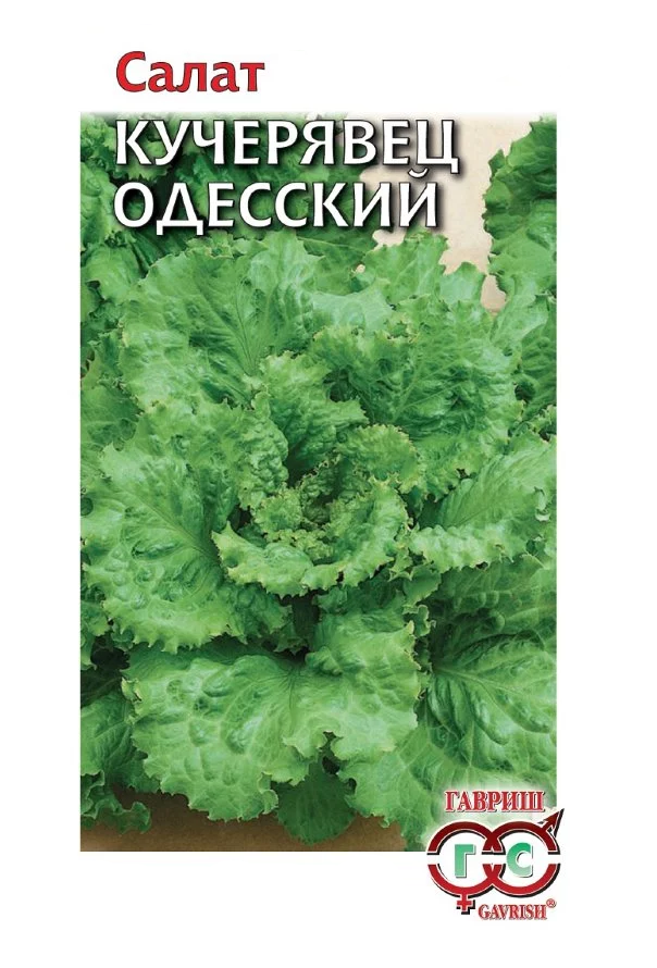 

Семена салат Гавриш Кучерявец Одесский 1 уп.