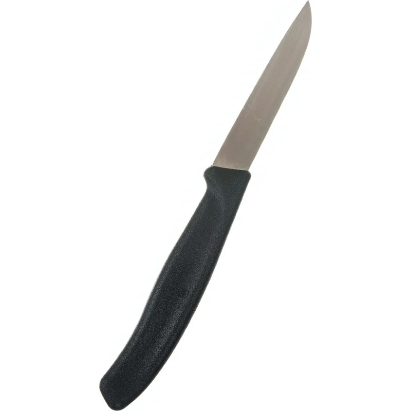 

Нож кухонный Victorinox Swiss Classic, для овощей, 80мм, заточка прямая, стальной, черный, Нож кухонный Victorinox Swiss Classic, для овощей, 80мм, заточка прямая, стальной, черный [6.7403]