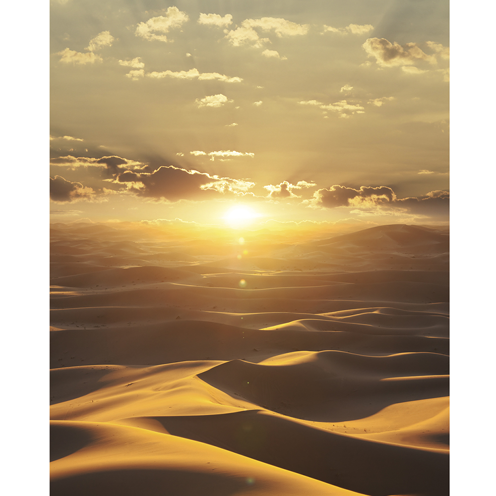 

Marburg Обои Marburg Dune 32545 2,7 м x 159 см, Обои Marburg Dune 32545