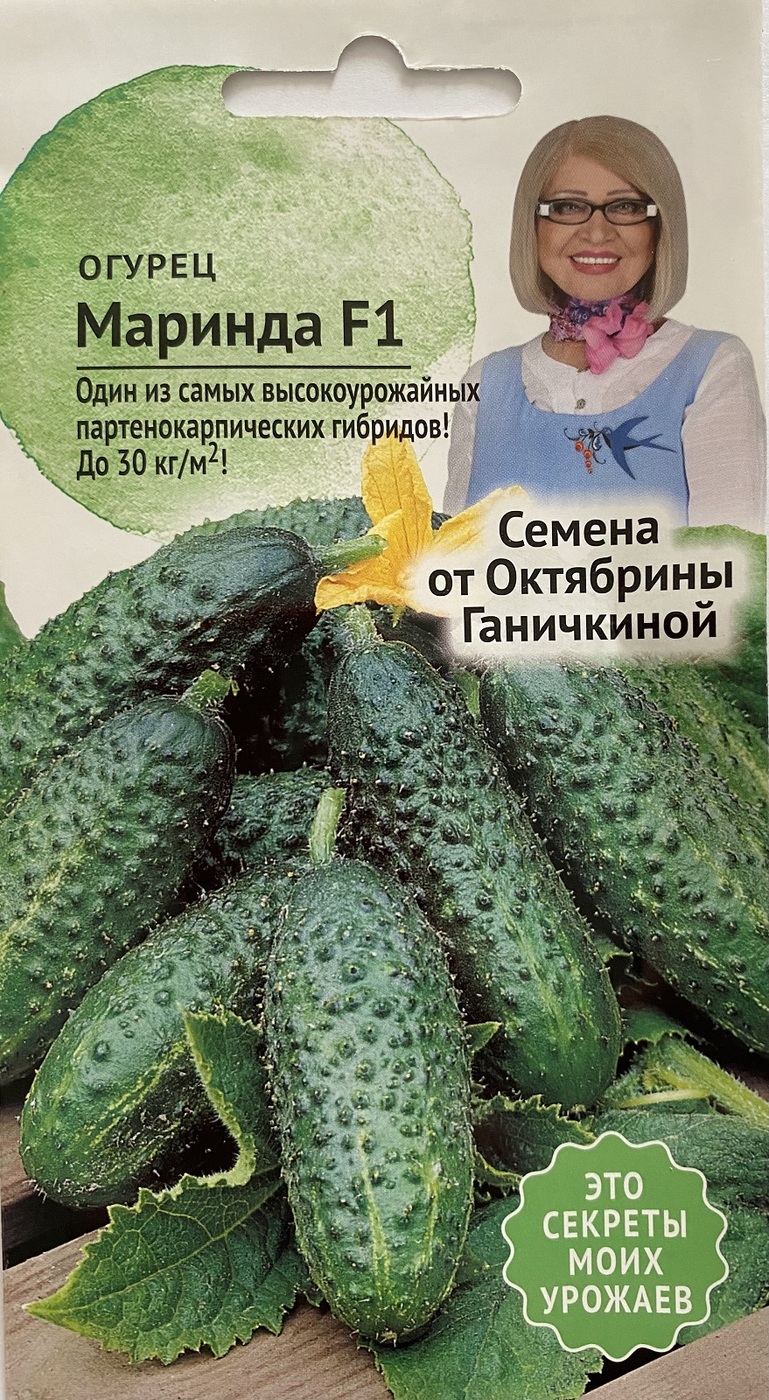 Маринда огурец описание сорта фото