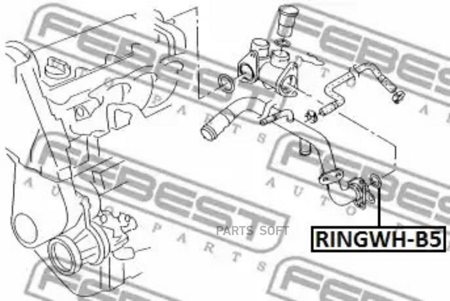 

FEBECT RINGWHB5 Кольцо уплотнительное патрубка VAG FEBEST RINGWHB5