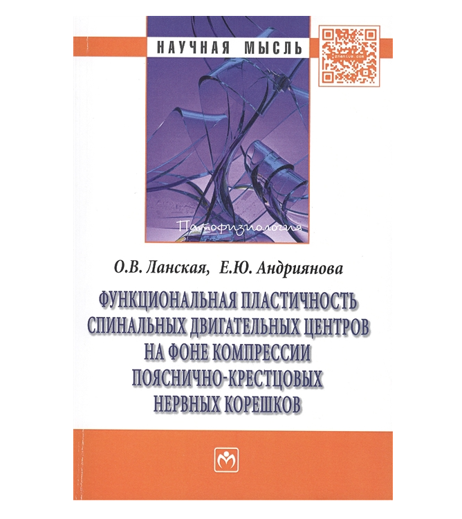 

Функциональная Пластичность Спинальных Двигательных Центров На Фоне…