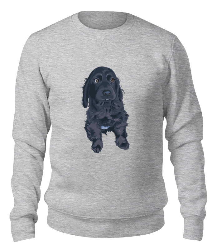 

Свитшот унисекс Printio Wolf teen серый 2XL, Wolf teen