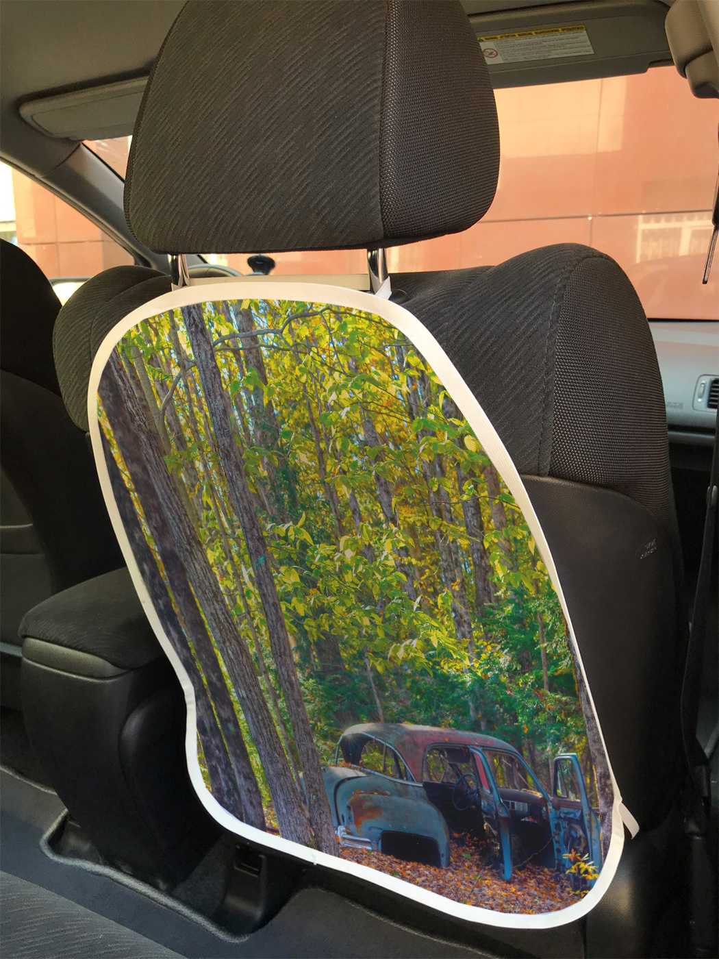 

cspr_21329 Защита на автокресло