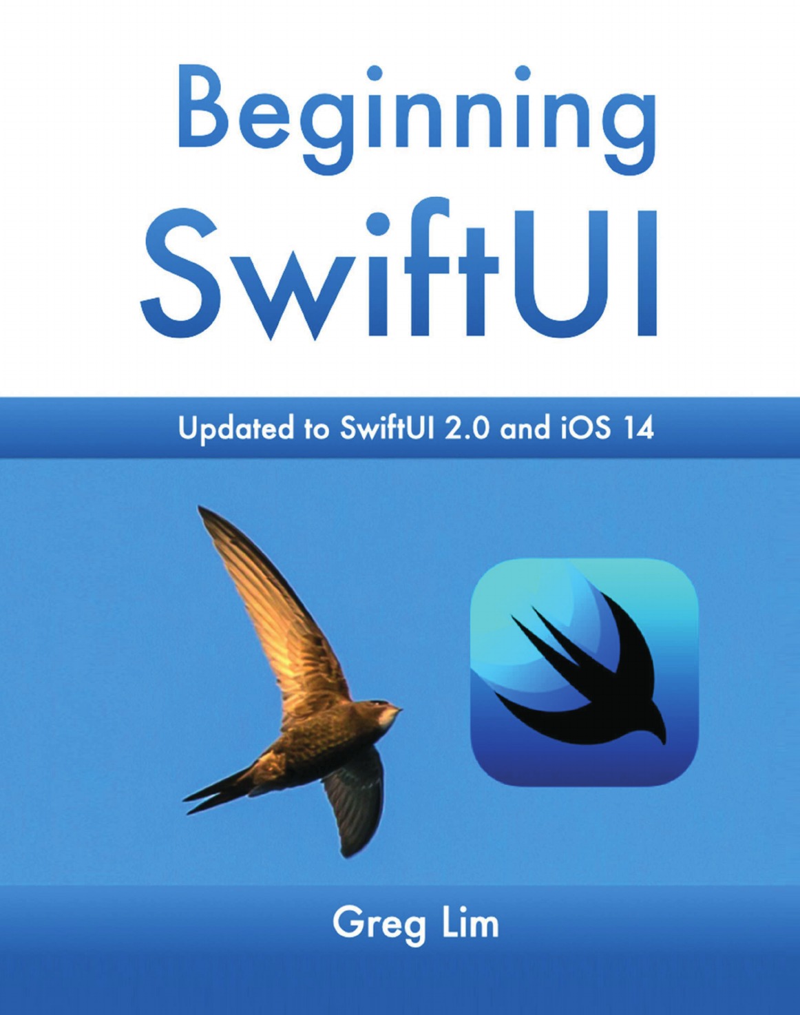 

Beginning SwiftUI