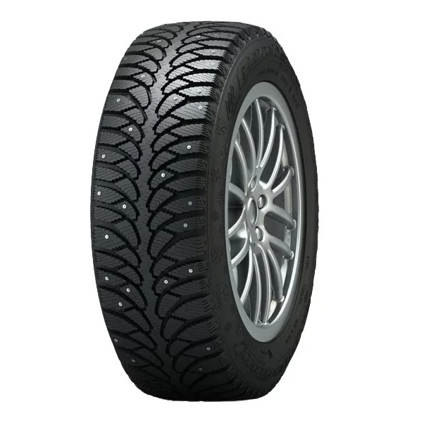 

Шины Tunga NordWay 2 PW-5 205/60 R16 96 Q, NordWay 2 PW-5