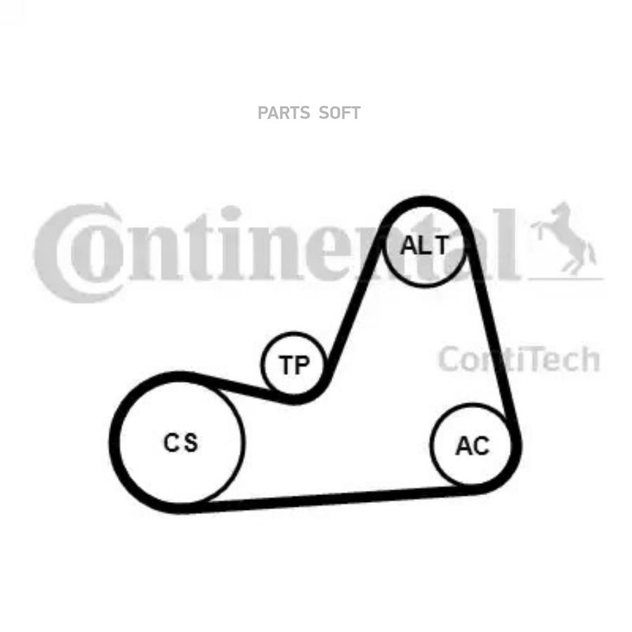 

Комплект Поликлинового Ремня ContiTech 6pk1100k1