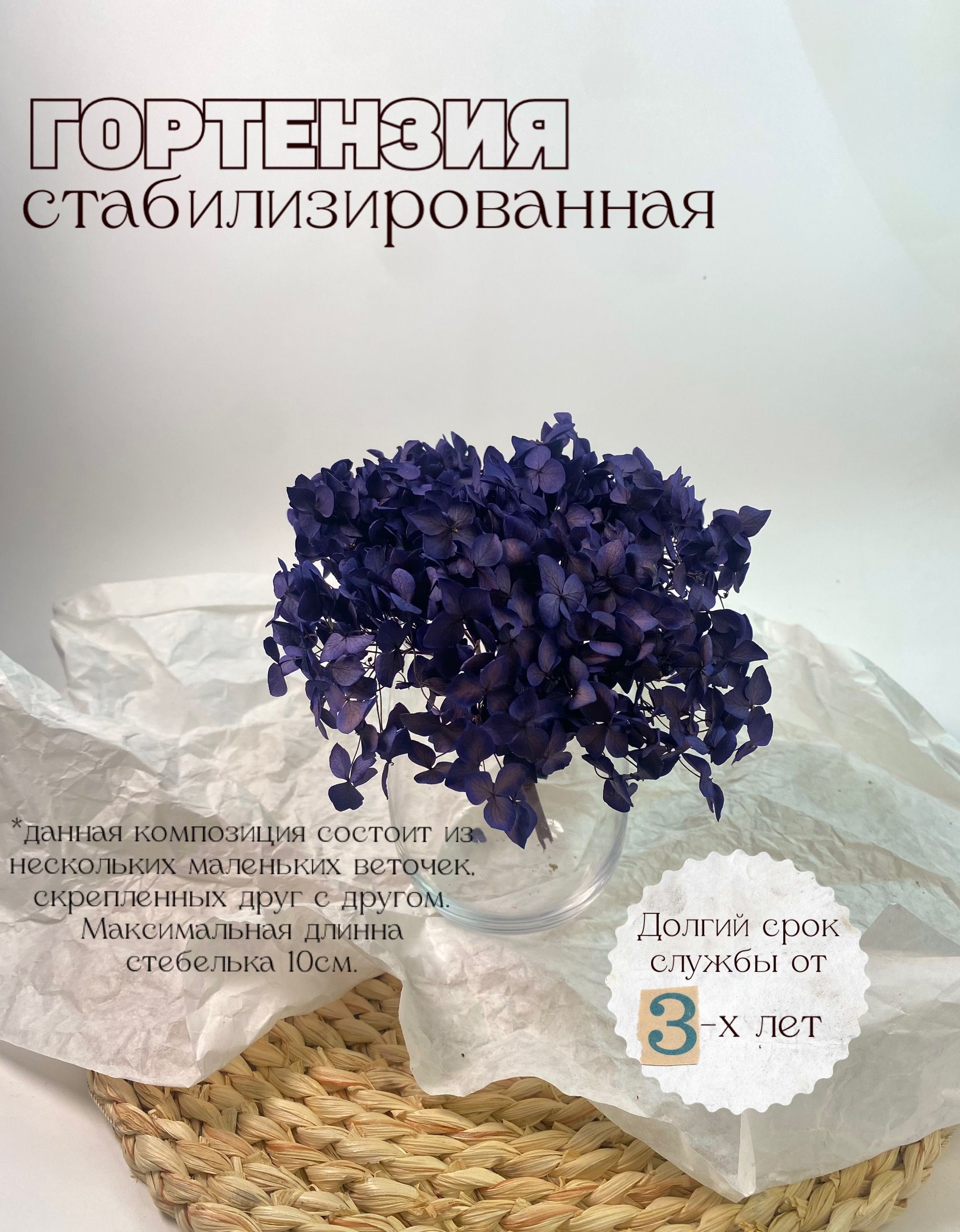 

Стабилизированная гортензия индиго, цветы