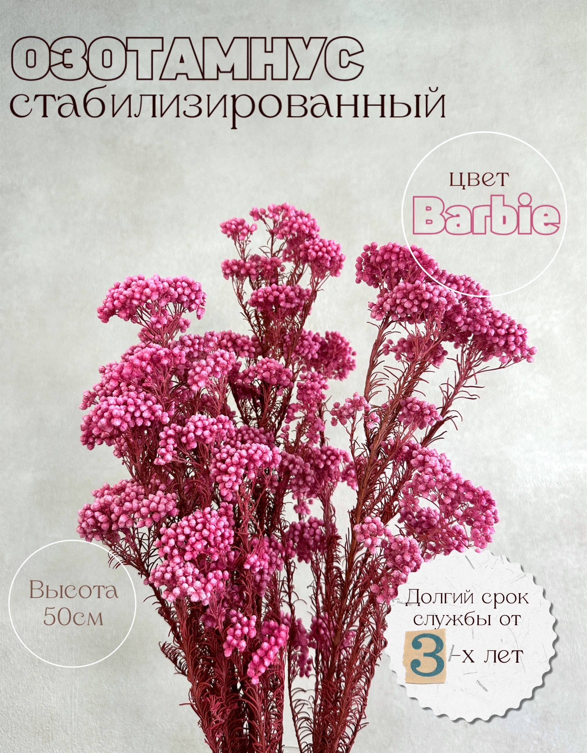 

Стабилизированный озотамнус Barbie, рисовый
