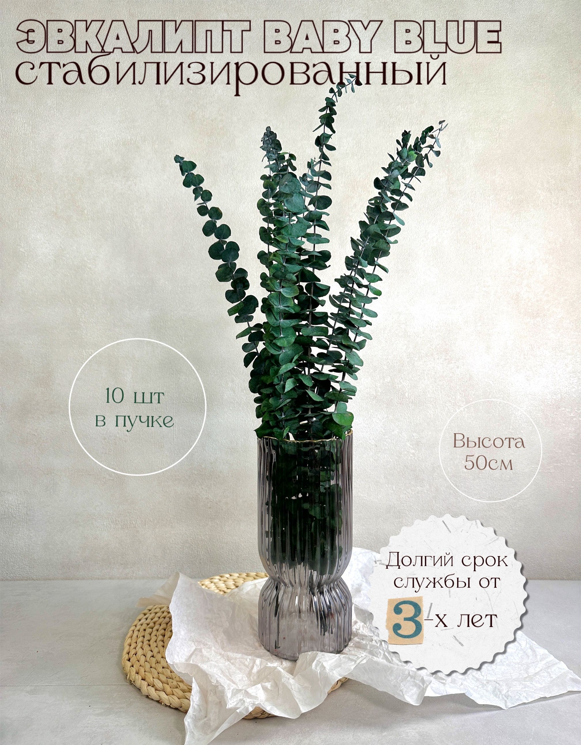 

Стабилизированный эвкалипт Baby blue, цветок