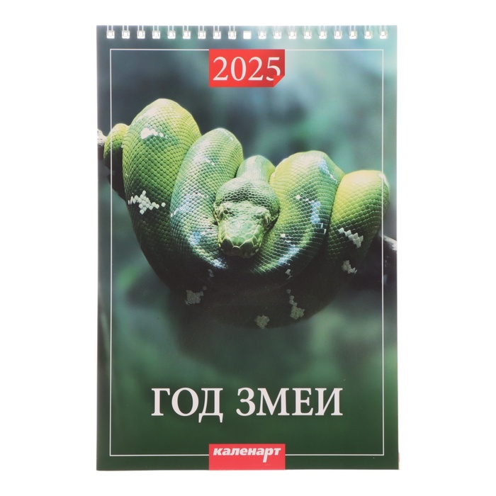 

Календарь Каленарт Символ Года Вид - 2 2025 год, на пружине без ригеля 17 х 25 см