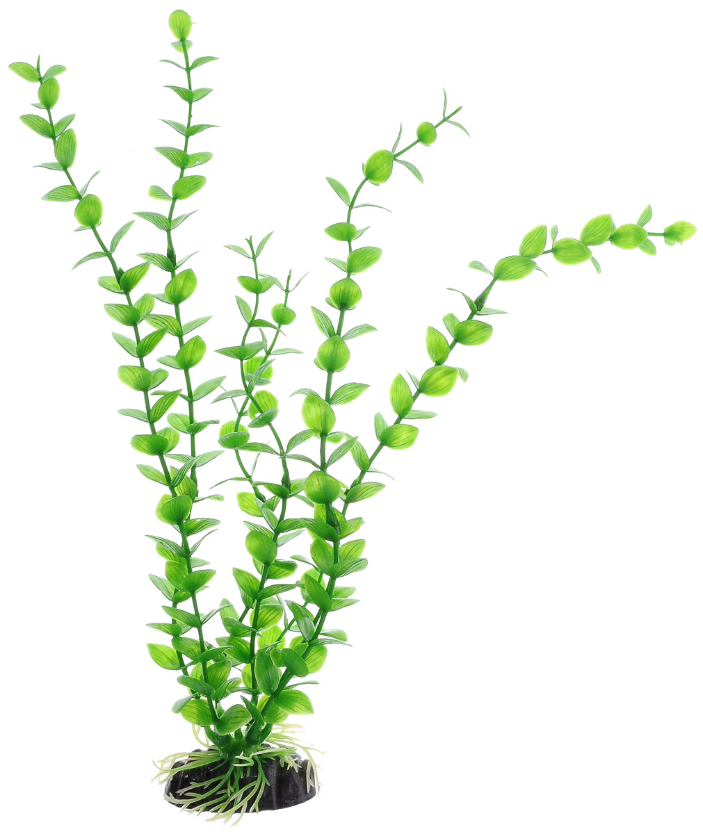 Искусственное растение для аквариума Barbus Бакопа зеленая Plant 010 10 см, пластик