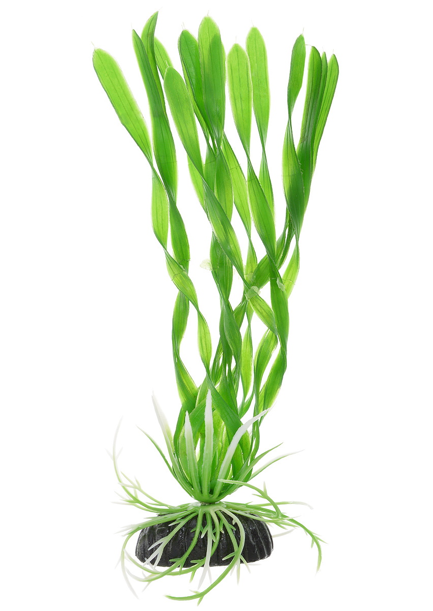 Искусственное растение для аквариума Barbus Валиснерия спиральная зеленая Plant 014 10 см