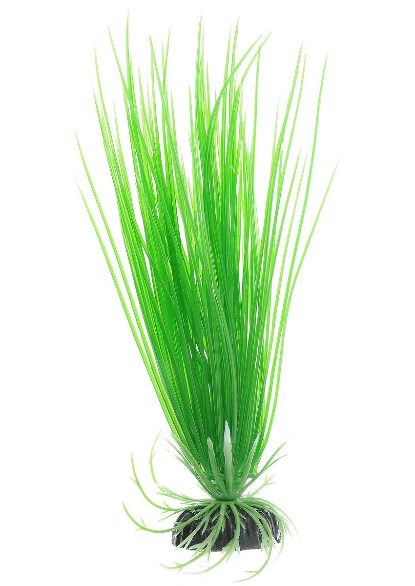 фото Искусственное растение для аквариума barbus акорус зеленый plant 007 20 см, пластик