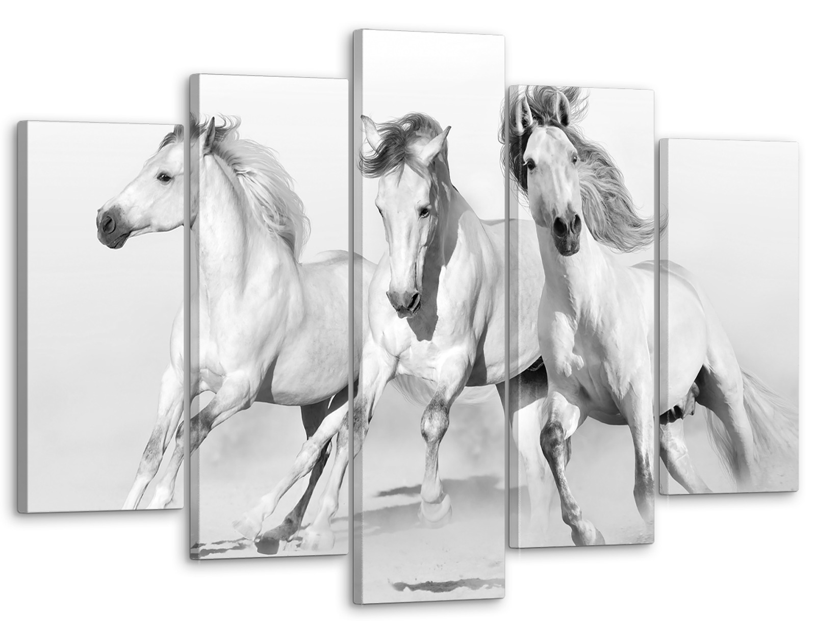 

Модульная картина Модуль В дом Белые кони 80x140 см MK50072, MK50072