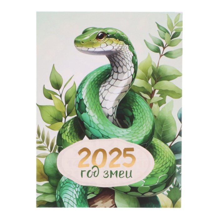 

Календарь Квадра Символ года - 13, отрывной на магните 2025 год, 10 х 13,5 см