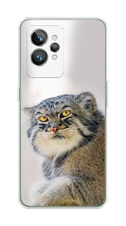 

Чехол на Realme GT 2 Pro "Кот манул 1", Серый;белый;желтый, 258650-1