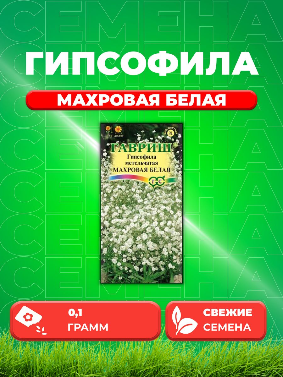 

Семена Гипсофила метельч. Махровая белая* 0,1 г