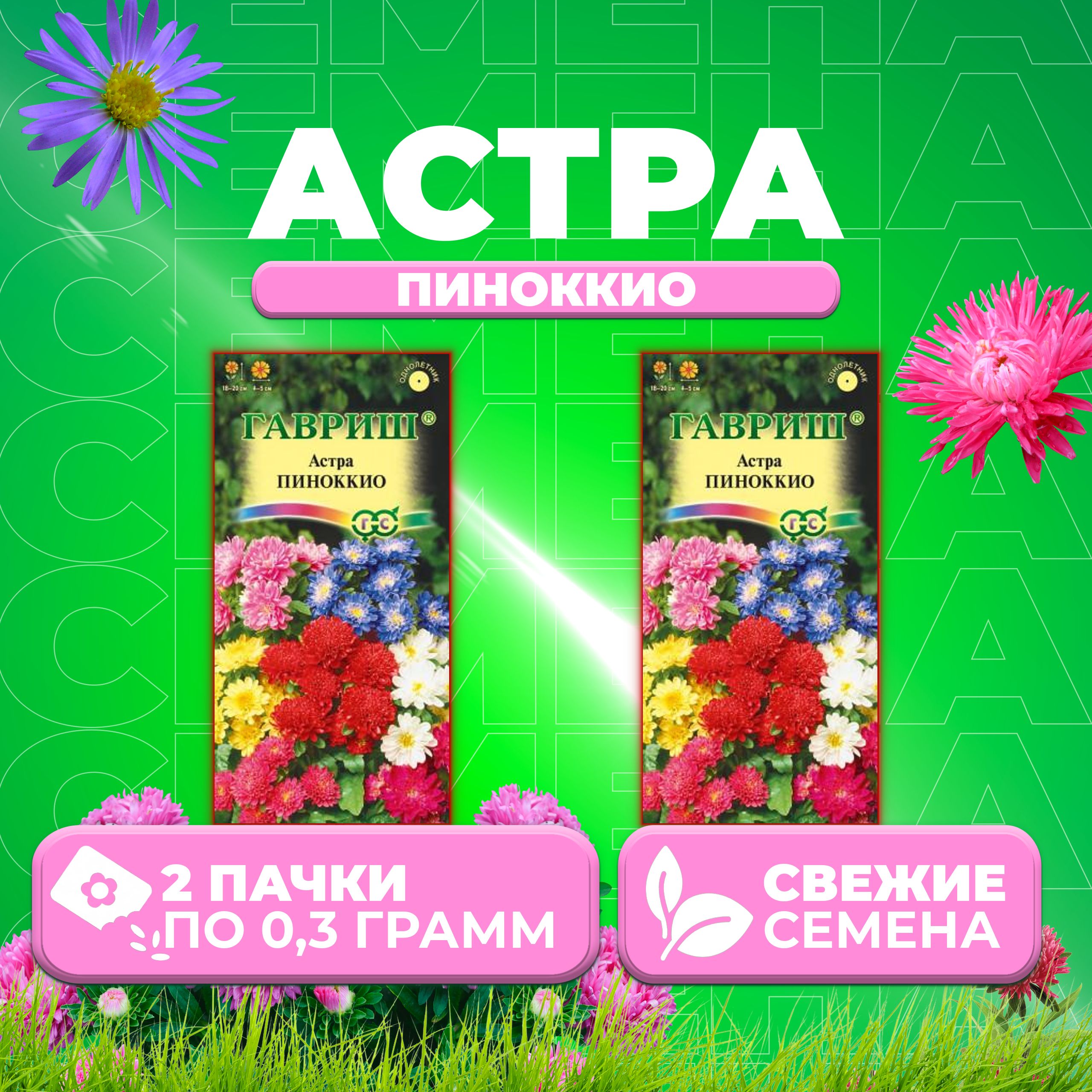 

Семена Астра Пиноккио, смесь, 0,3г, Гавриш, Цветочная коллекция 2 уп