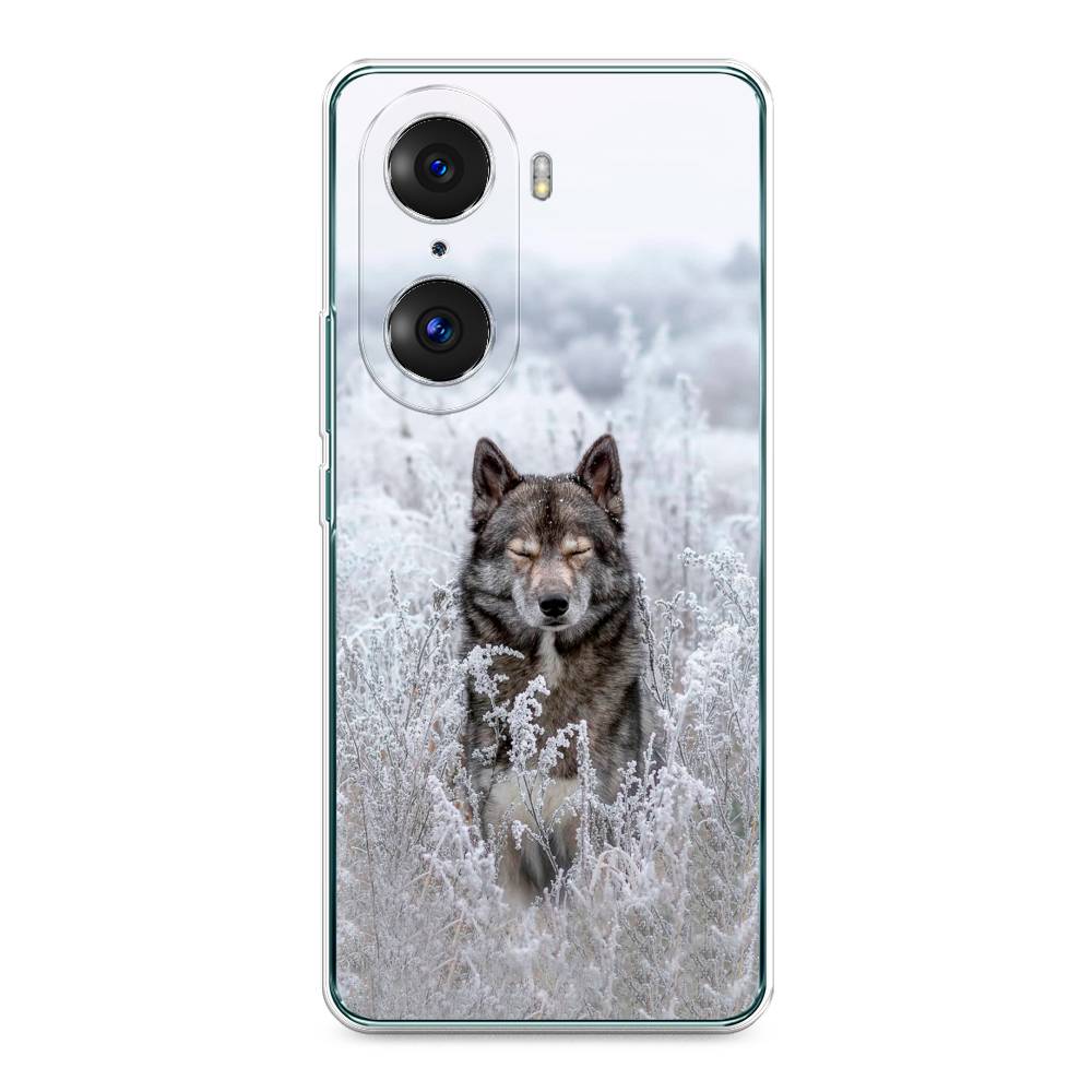 

Чехол Awog на Honor 60 Pro "Волк в поле", Разноцветный, 6106750-1