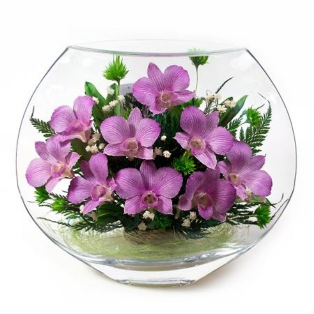 

Цветы в стекле Natural Flower Products Композиция из орхидей 200-086