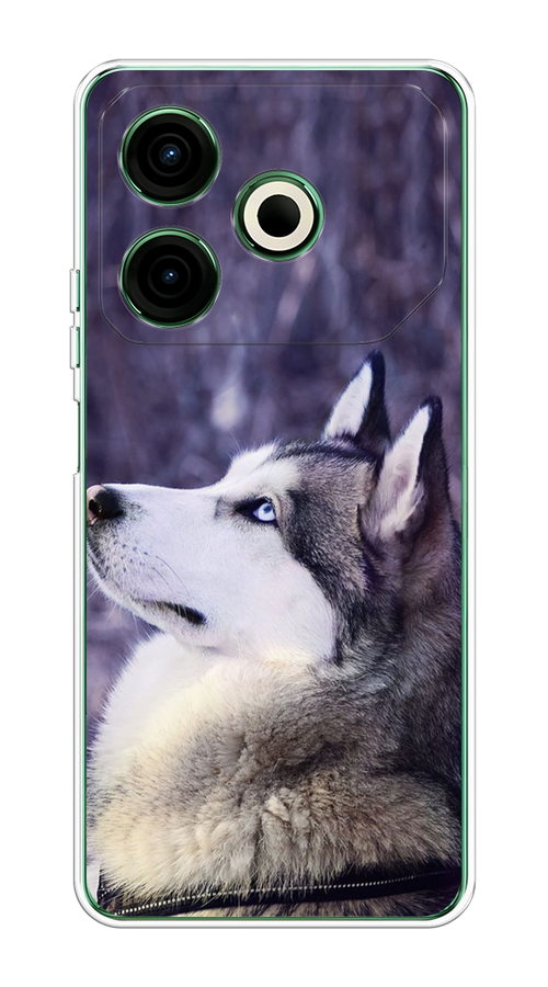

Чехол на Tecno Pova 6 Neo "Хаски 1", Фиолетовый;белый, 309050-1