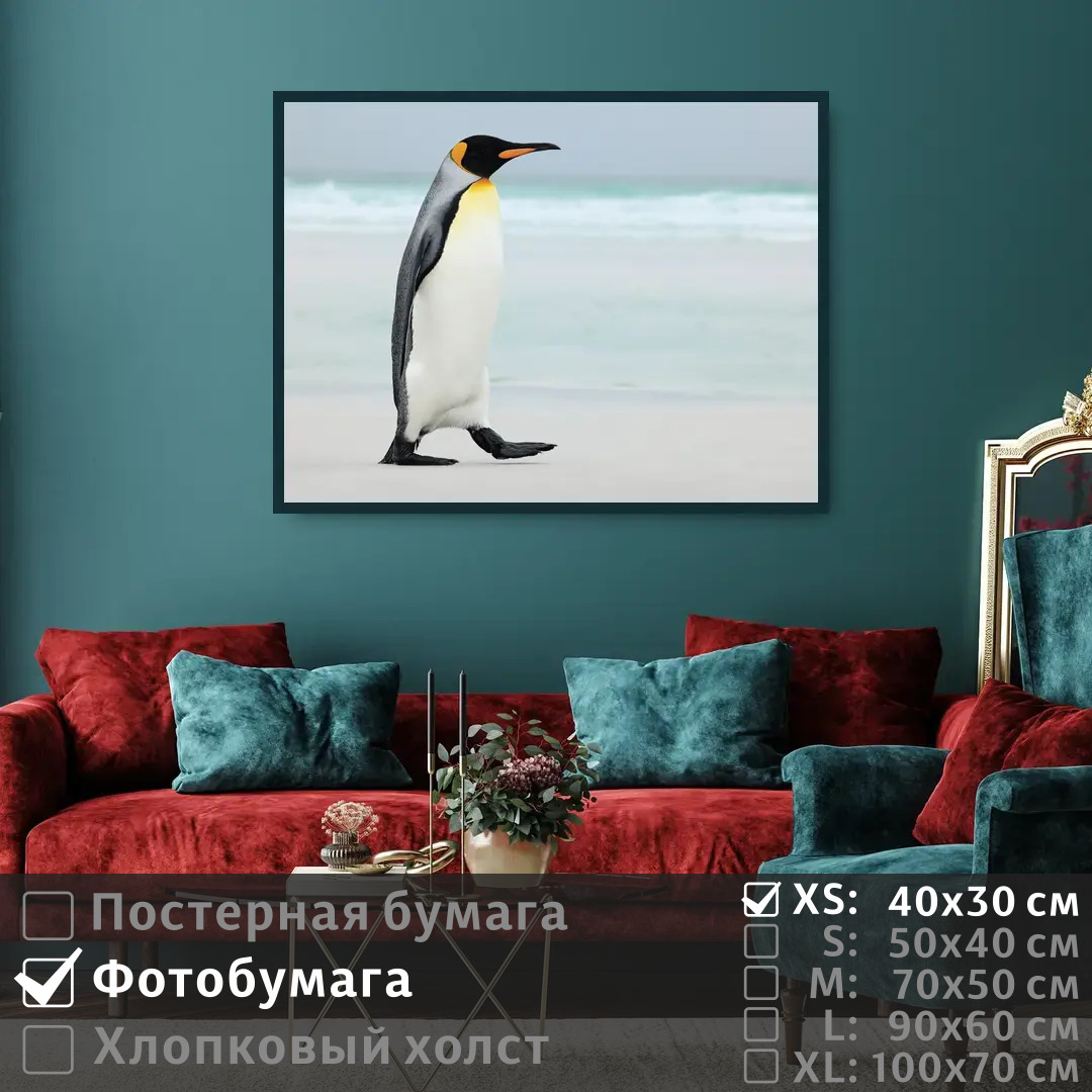 

Постер на фотобумаге ПолиЦентр Пингвин на берегу моря 40х30 см, ПингвинНаБерегуМоря