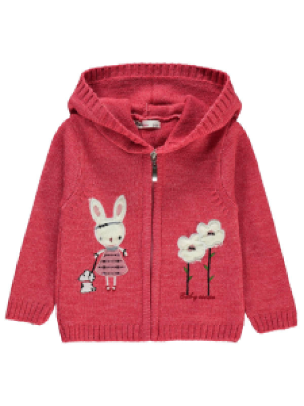 

Толстовка Civil 39A680340K21, 3-4 лет, фуксия (доставка из-за рубежа), 39A680340K21