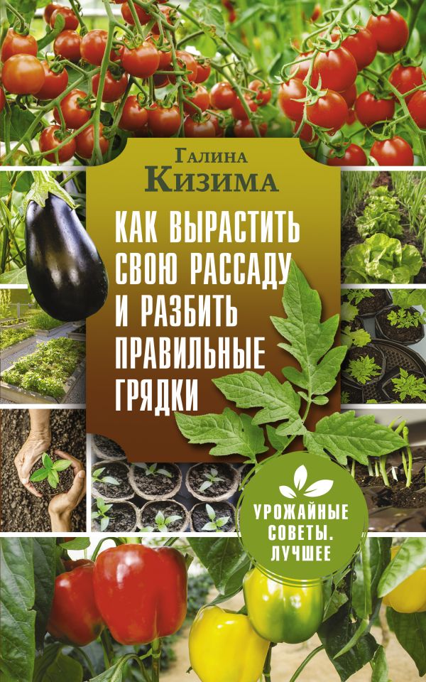 фото Книга как вырастить свою рассаду и разбить правильные грядки