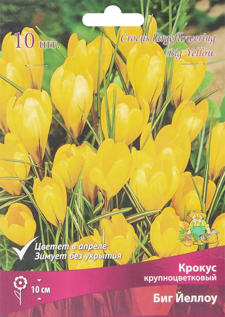 

Луковицы крокус Биг Йеллоу Поиск SSS-85204662 10 шт.