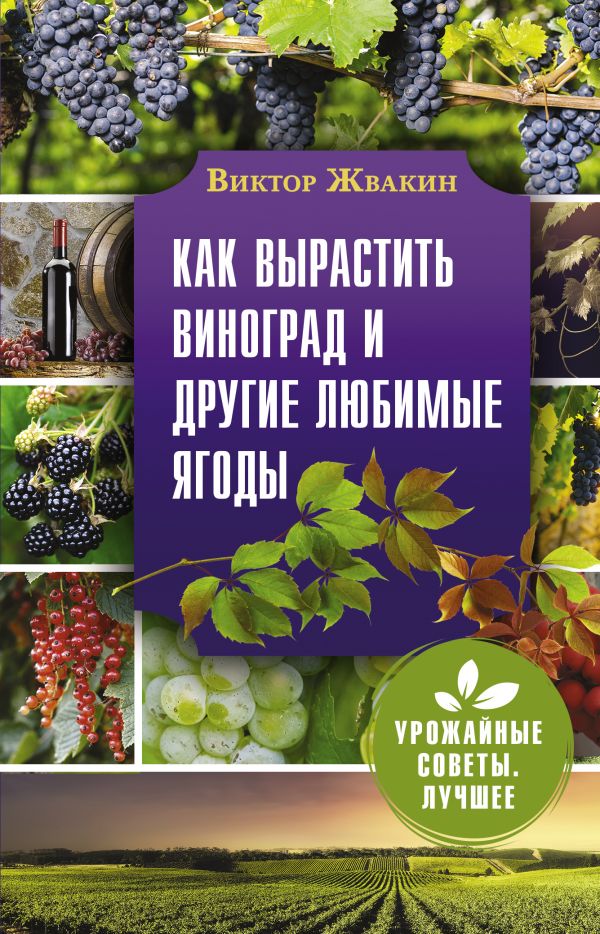 

Как вырастить виноград и другие любимые ягоды. Простые и понятные…