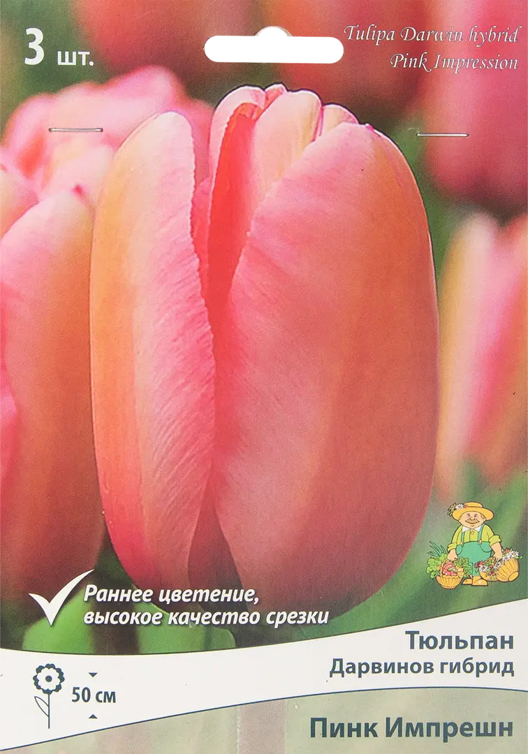 

Семена тюльпан Дарвинов гибрид Поиск SSS-85205537 1 уп.