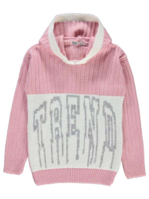 

Свитер Civil 453662354K21, 13-14 лет, розовый (доставка из-за рубежа), 453662354K21