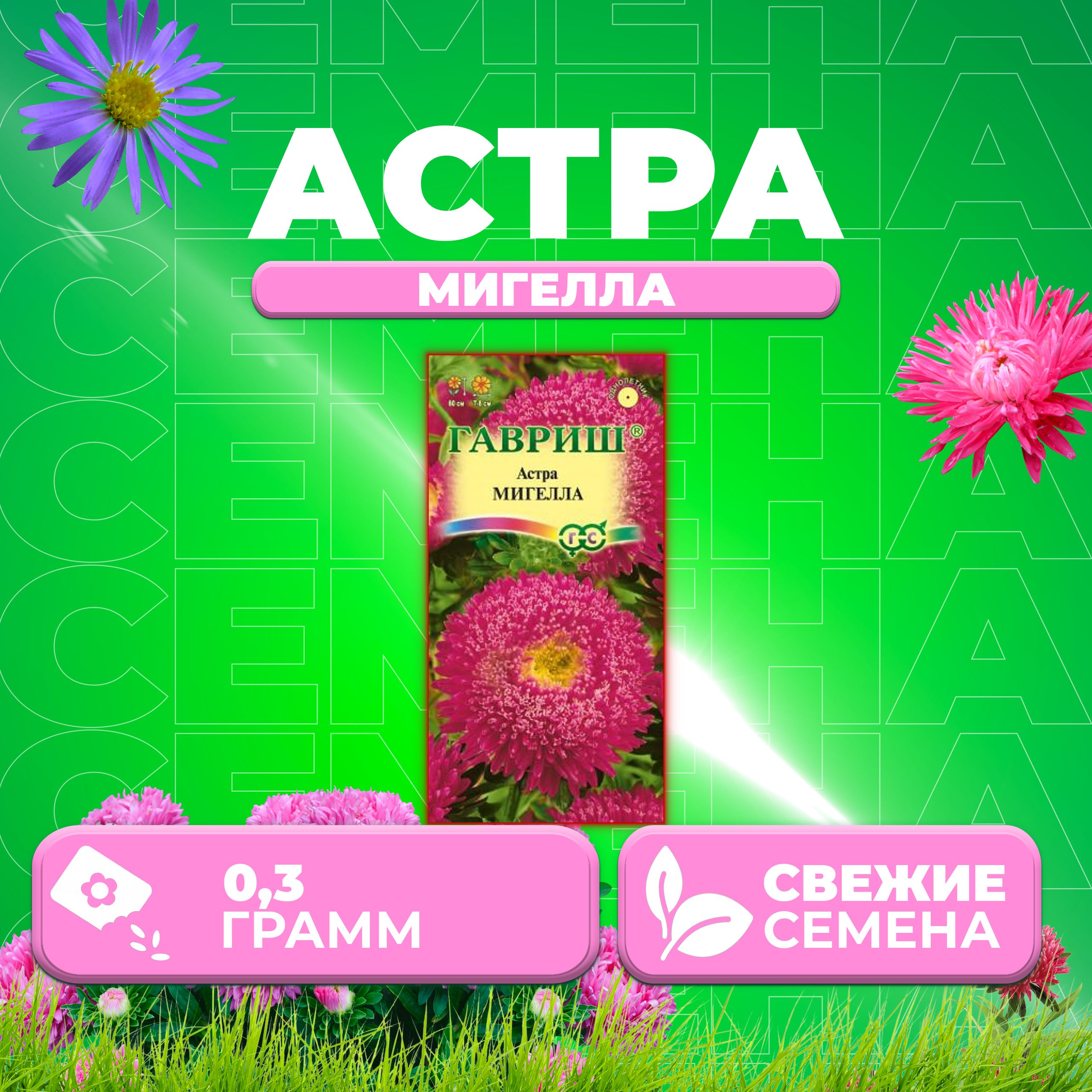 

Семена Астра Мигелла, принцесса, 0,3г, Гавриш, Цветочная коллекция 1 уп