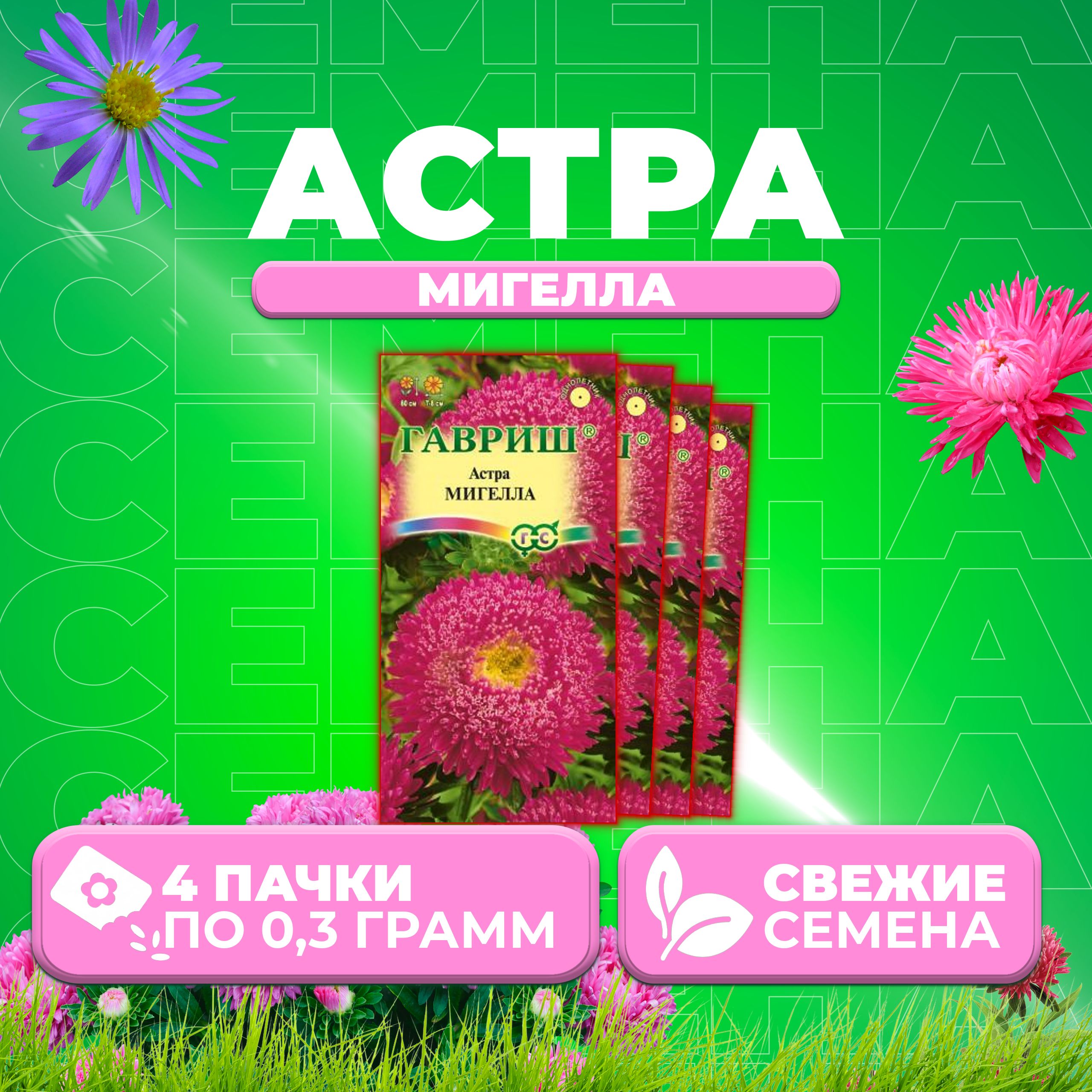 

Семена Астра Мигелла, принцесса, 0,3г, Гавриш, Цветочная коллекция 4 уп