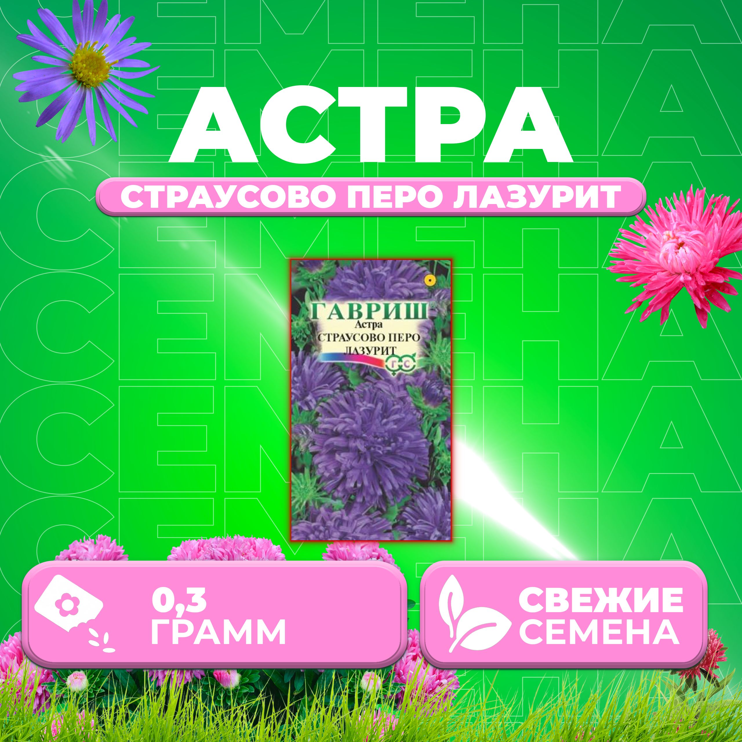 

Семена Астра Страусово перо лазурит, 0,3г, Гавриш, Цветочная коллекция 1 уп