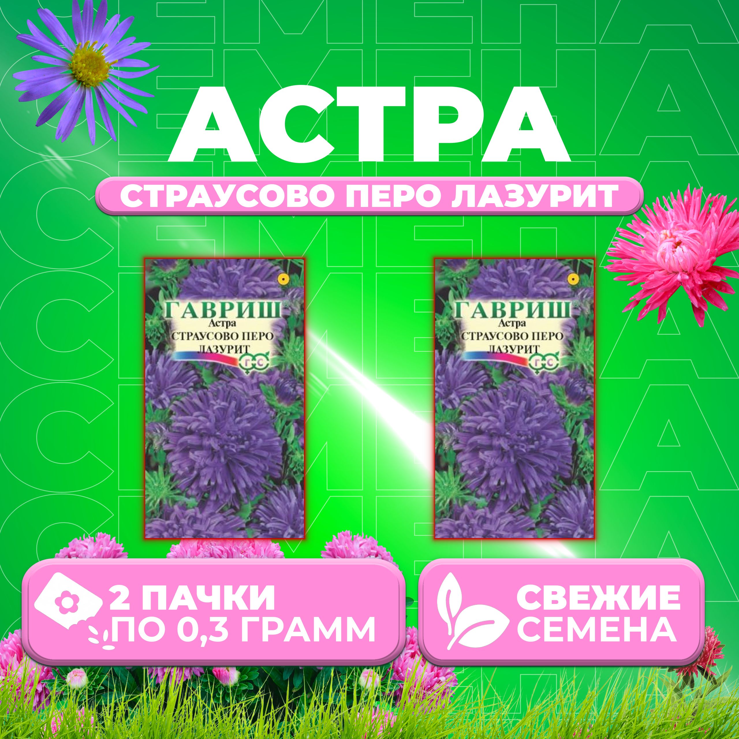 

Семена Астра Страусово перо лазурит, 0,3г, Гавриш, Цветочная коллекция 2 уп
