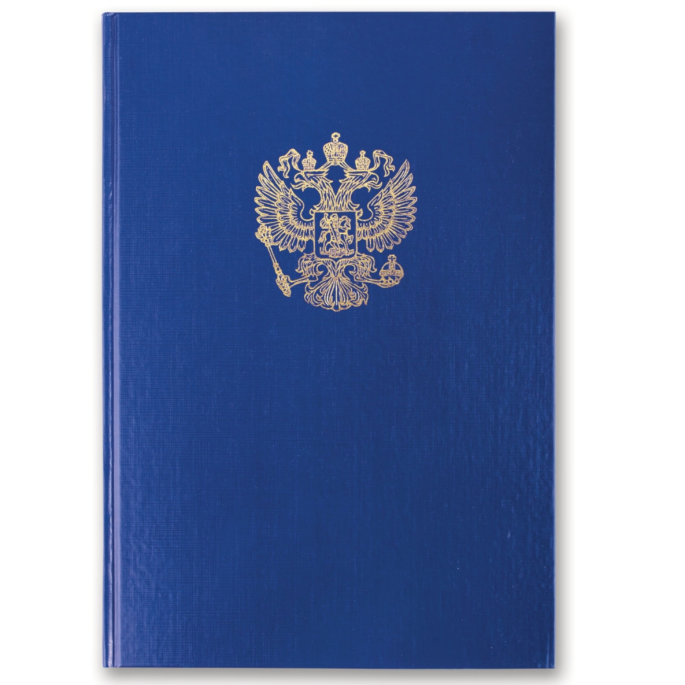 

Набор из 10 шт, Книга учета 96 л. (130141)