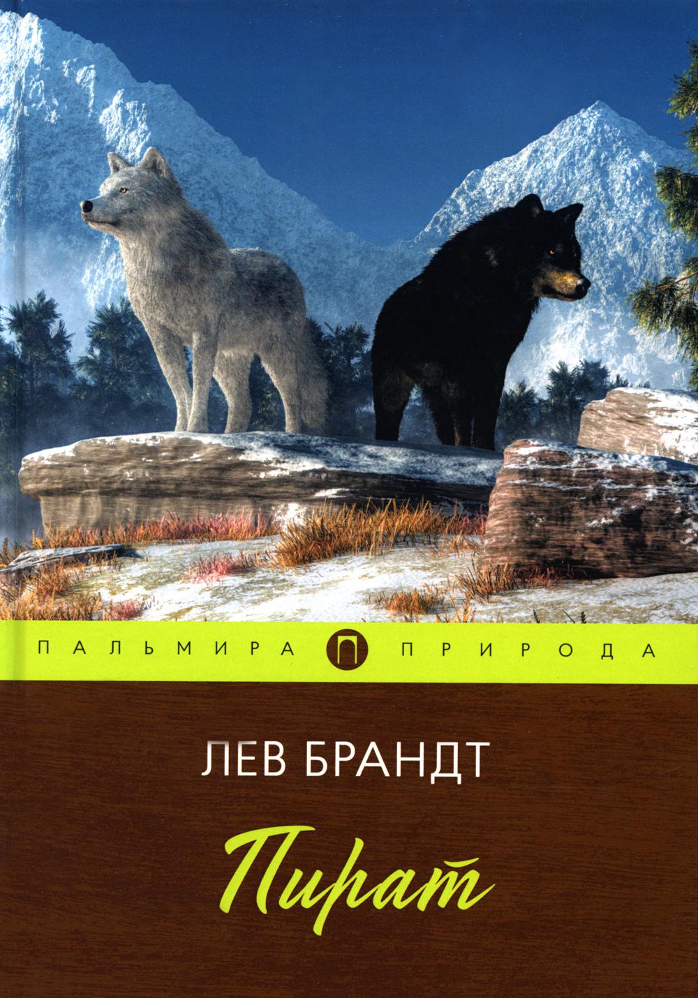 

Пират