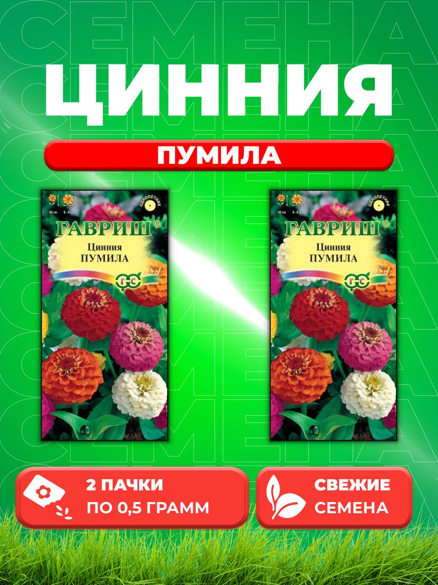 

Семена Цинния Пумила, махровая раннецветущая, смесь 0,5 г DH 2уп