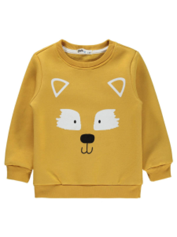 

Свитшот Civil 199582205K21, 4-5 лет, оранжевый (доставка из-за рубежа), 199582205K21