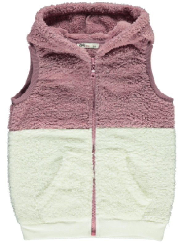

Жилет с капюшоном Civil 44330D534K12-2, 7-8 лет, сливовый (доставка из-за рубежа), 44330D534K12-2