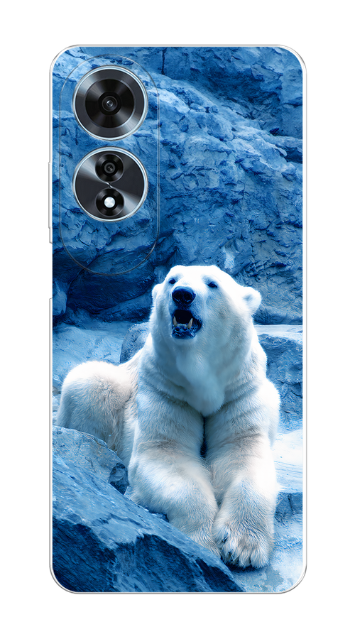 

Чехол на Oppo A60 "Белый медведь", Голубой;белый, 2516950-1