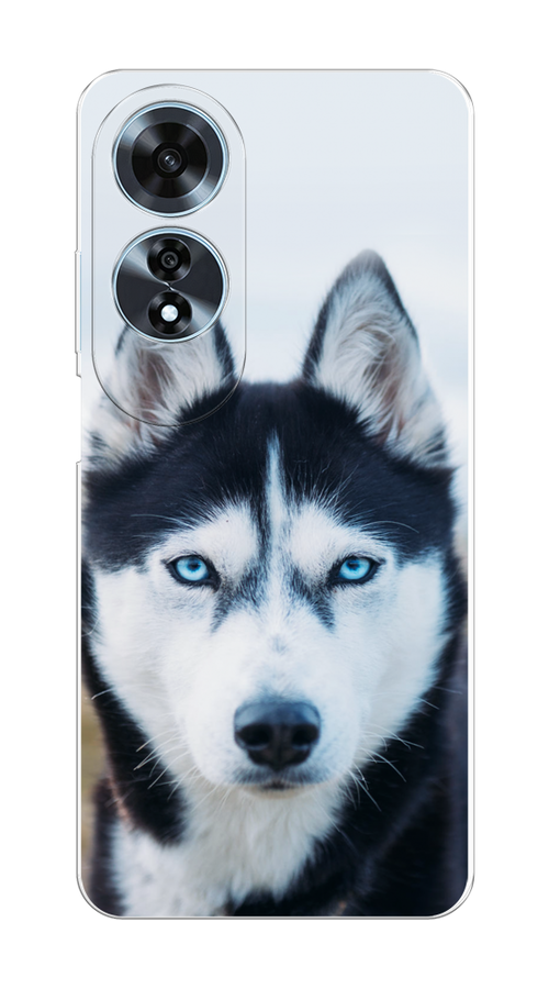 

Чехол на Oppo A60 "Хаски 2", Синий;белый, 2516950-1